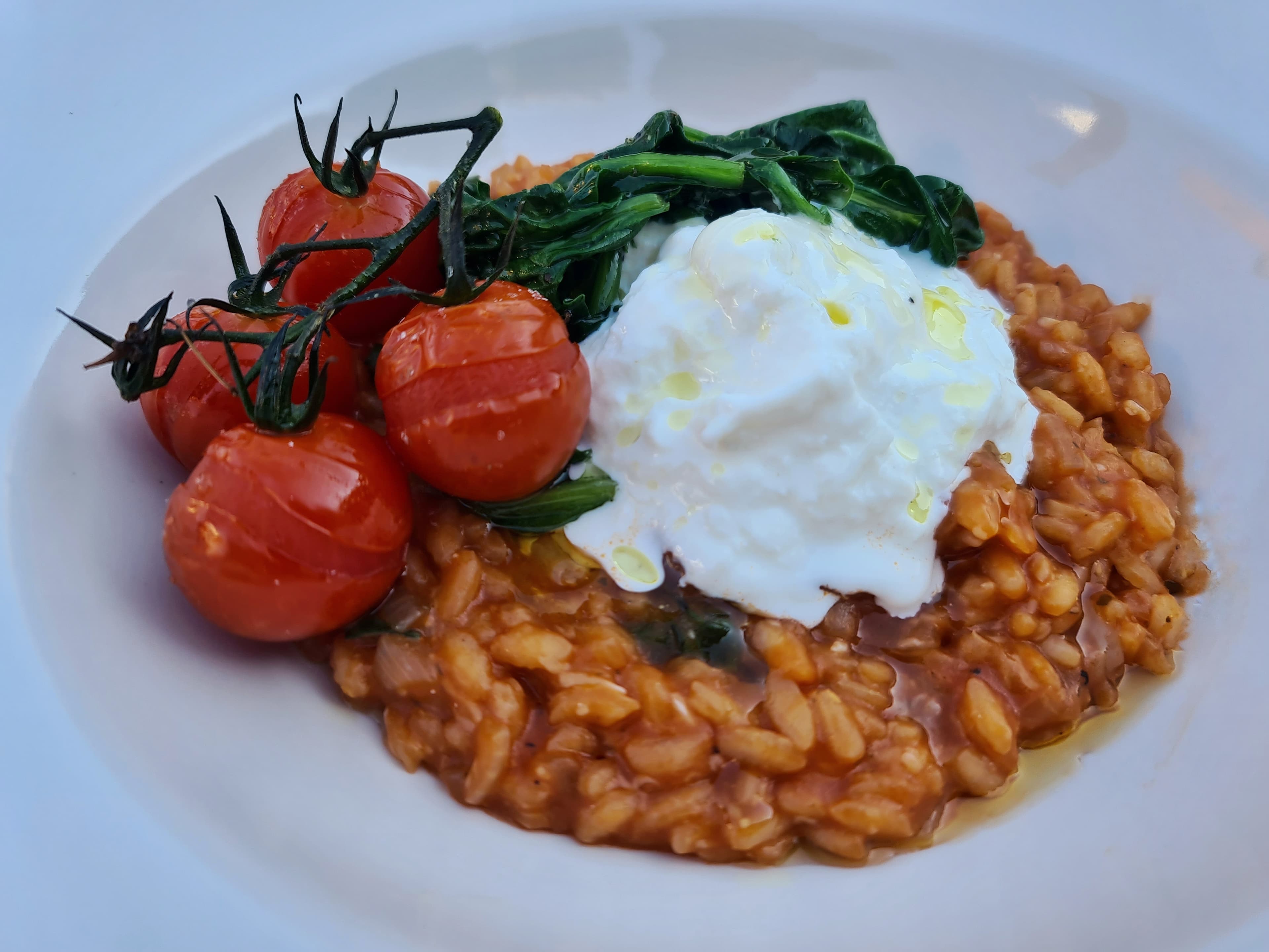Tomatenrisotto met burrata
