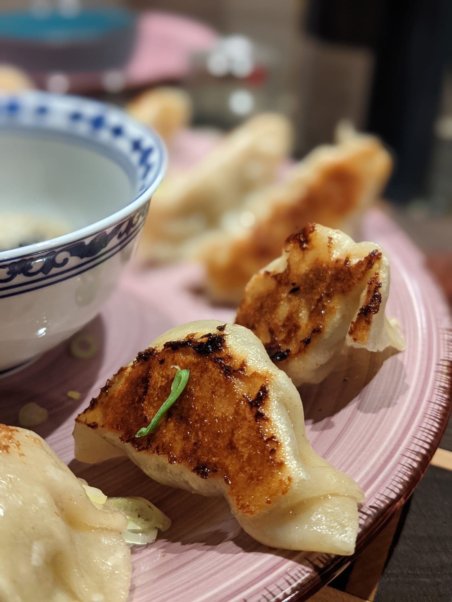 Gyoza met gehakt!