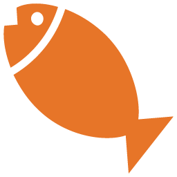Vis